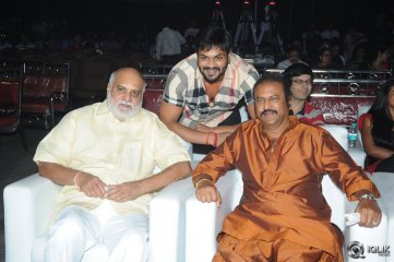 Current Theega Movie Success Meet